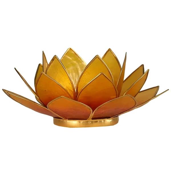 Lotus sfeerlicht Rood | 1e Chakra - Prana Puur | Cadeau winkel Roden
