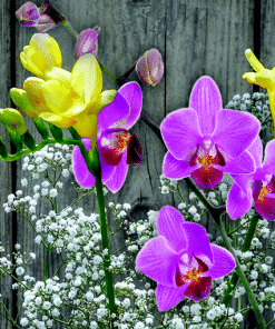 Geurlamp vloeistof Freesia Orchid - Prana Puur | Cadeau winkel Roden