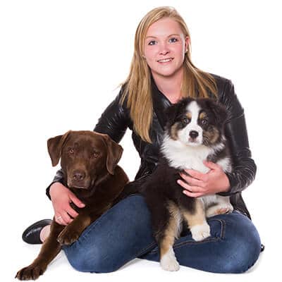 Beste hondenschool van Drenthe | Hondenschool Zuidlaren | Ilona Davids - Tent