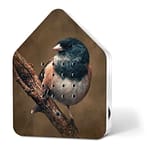 huisje met vogelgeluiden roodborstje limited edition vogelprint