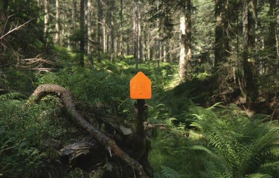 Zwitscherbox Forest Oranje