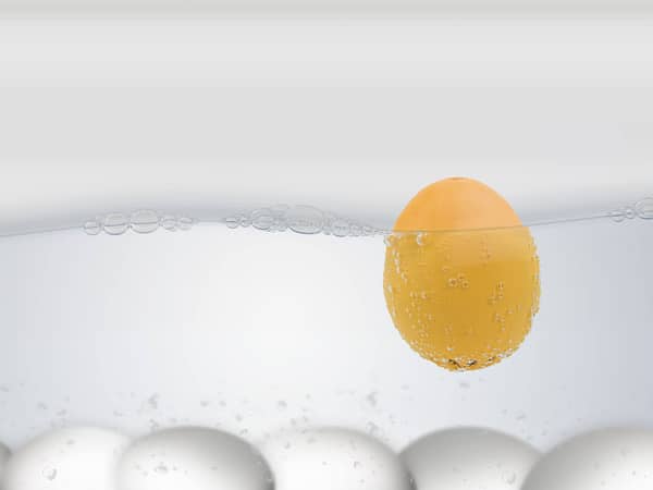 piepei eierenwekker voor ei brainstream