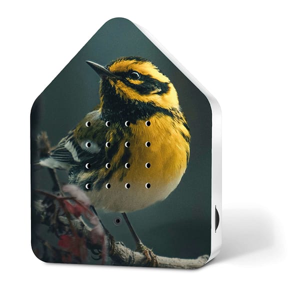 zwitscherbox vogelprint limited edition blackburnian vogelprint huisje met vogelgeluiden voor op wc zwitscherbox