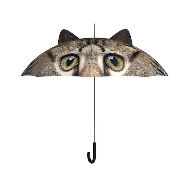 paraplu met poes katten