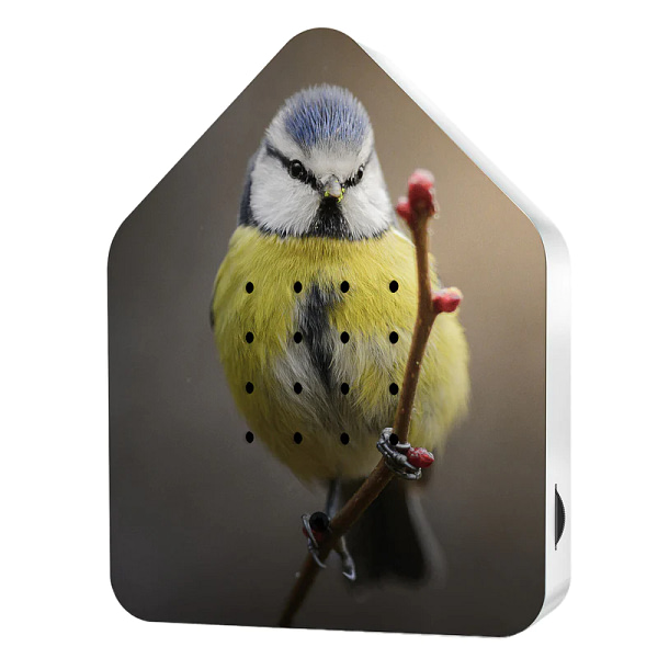zwitscherbox vogel pimpelmees huisje met vogelgeluiden voor op wc