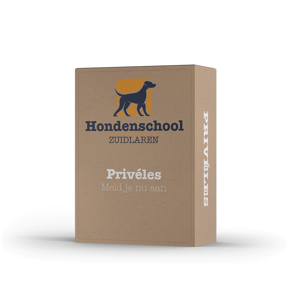 Hondencursus privéles, Tynaarlo, Drenthe, Hondenschool zuidlaren