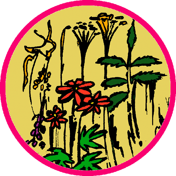 Bloemen weelde Biologische kruiden thee - Prana Puur | Cadeau winkel Roden