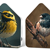 limited edition birds vogelprint huisje met vogelgeluiden zwitscherbox