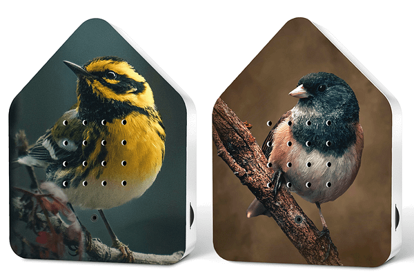 limited edition birds vogelprint huisje met vogelgeluiden zwitscherbox