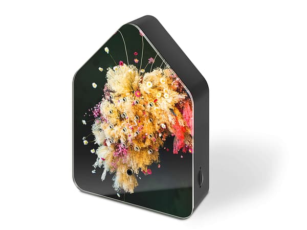 bloemprint huisje met vogelgeluid zwitscherbox poppykalas