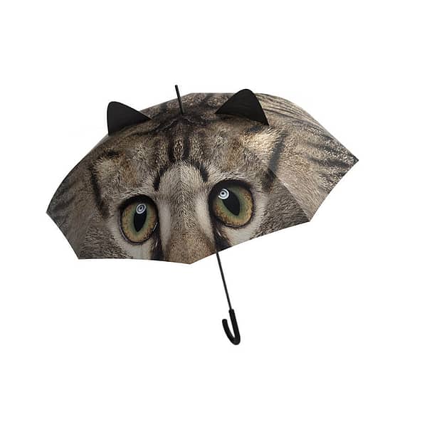 paraplu met katten poes op paraplu kat