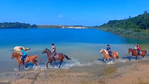 Paarden met ruiters in het water
