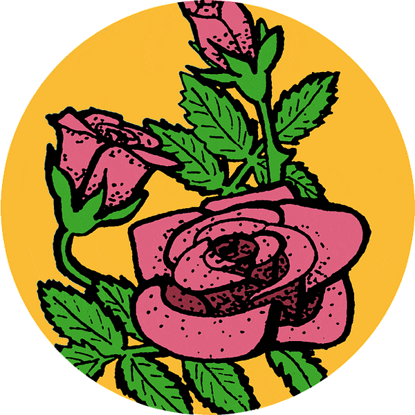 Biologische Golden Rose Thee - Prana Puur | Cadeau winkel Roden