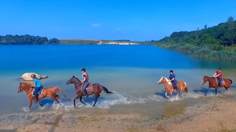 Paarden met ruiters in het water