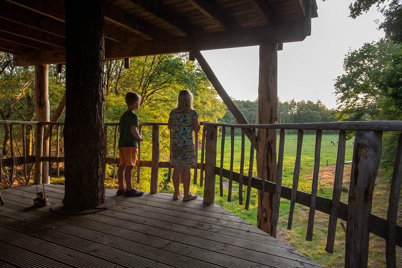 Twee kinderen kijken vanuit een uitkijktoren over Drents landschap.